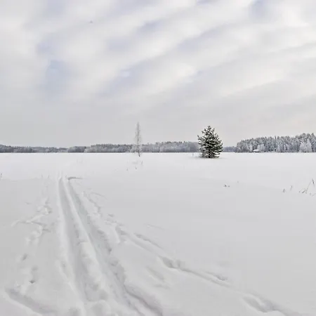 Vakantiehuis Millantupa By Interhome Pertunmaa